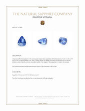 1.02 Ct. Blue Sapphire from Ceylon (Sri Lanka) Appraisal
