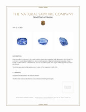1.00 Ct. Blue Sapphire from Ceylon (Sri Lanka) Appraisal