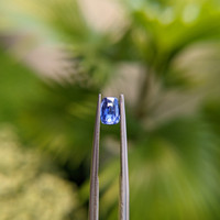 1.00 Ct. Blue Sapphire from Ceylon (Sri Lanka) Life Style