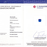 9.00 Ct. Sapphire from Ceylon (Sri Lanka) Scan Report