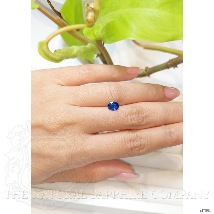 1.05 Ct. Blue Sapphire from Ceylon (Sri Lanka)