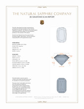 Jewelry 3 D Scan Report