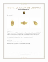 25.62 Ct. Yellow Rough Sapphire from Ceylon (Sri Lanka) Appraisal
