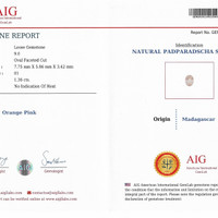 Jewelry Scan Report