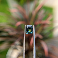 1.60 Ct. Bi Color Sapphire from Madagascar Life Style