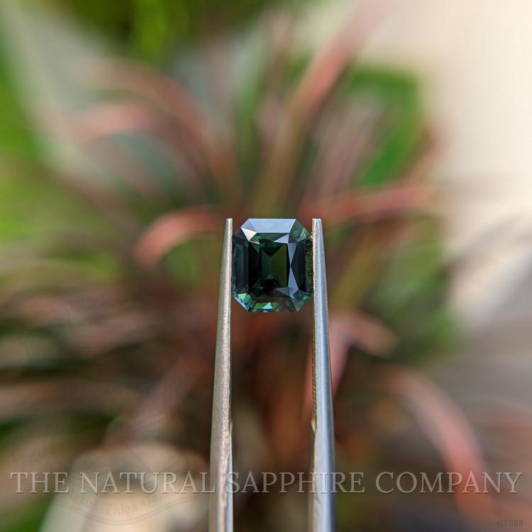2.56 Ct. Green Sapphire from Madagascar
