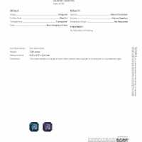 Jewelry Scan Report