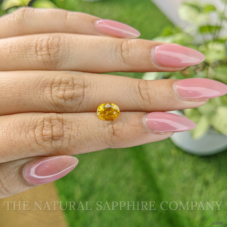 1.69 Ct. Yellow Sapphire from Ceylon (Sri Lanka)