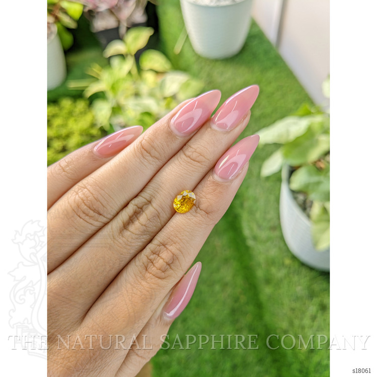 1.69 Ct. Yellow Sapphire from Ceylon (Sri Lanka)