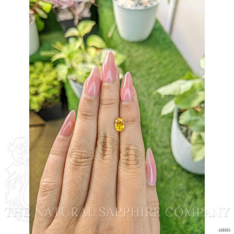 1.69 Ct. Yellow Sapphire from Ceylon (Sri Lanka)