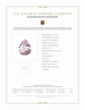Jewelry Scan Report