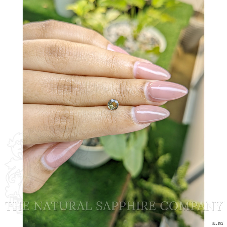 0.48 Ct. Greenish Yellow Sapphire from Ceylon (Sri Lanka)
