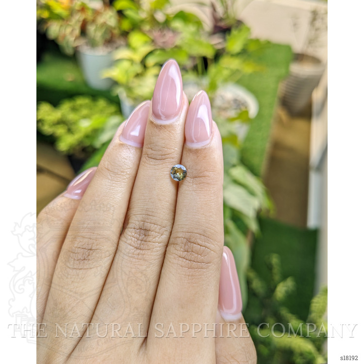 0.48 Ct. Greenish Yellow Sapphire from Ceylon (Sri Lanka)