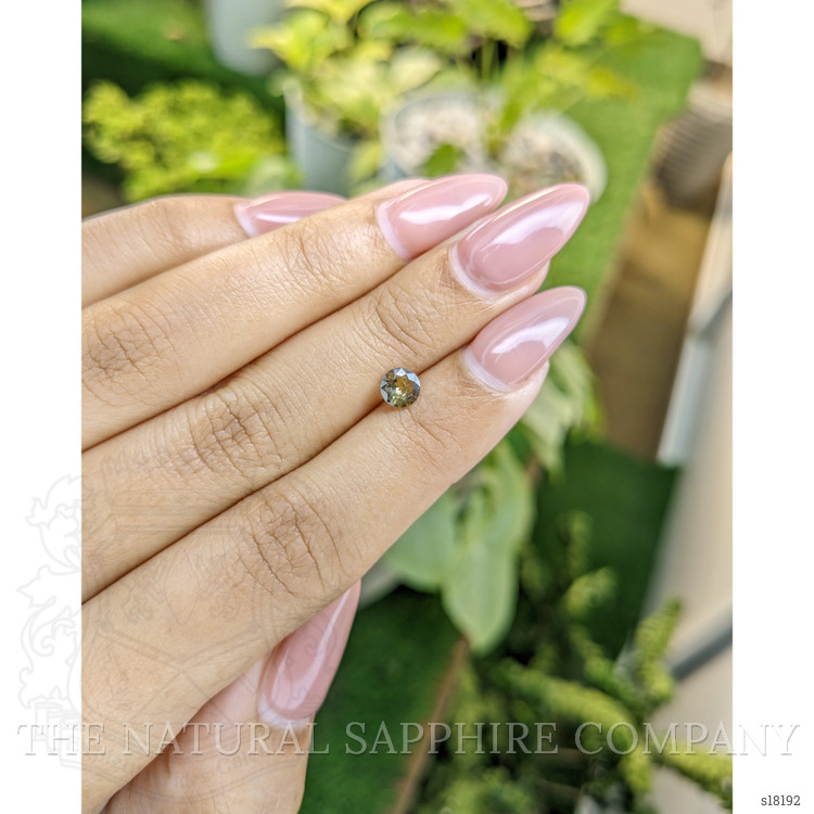 0.48 Ct. Greenish Yellow Sapphire from Ceylon (Sri Lanka)