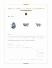 1.07 Ct. Sapphire from Ceylon (Sri Lanka) Appraisal
