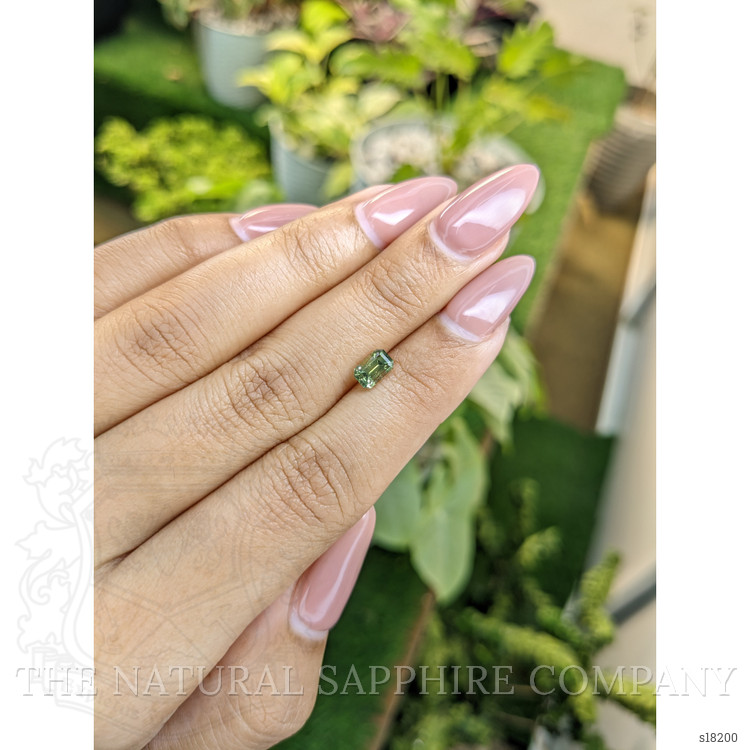 0.82 Ct. Yellowish Green Sapphire from Ceylon (Sri Lanka)