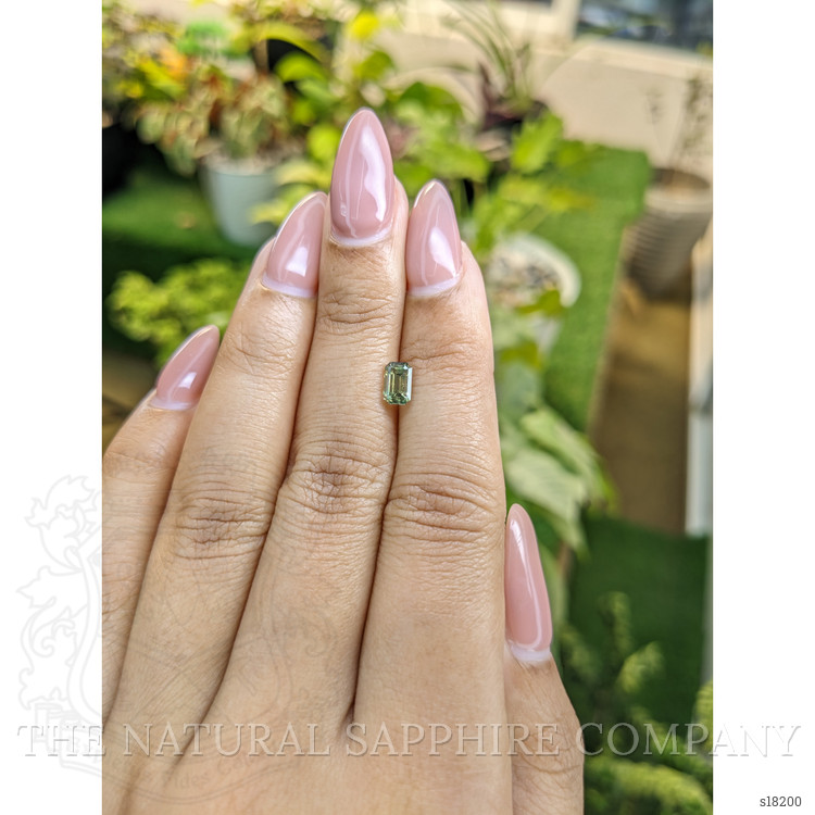 0.82 Ct. Yellowish Green Sapphire from Ceylon (Sri Lanka)