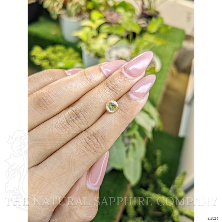1.39 Ct. Yellow Sapphire from Ceylon (Sri Lanka)