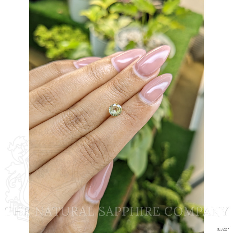 0.73 Ct. Yellow Sapphire from Ceylon (Sri Lanka)