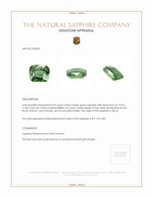 9.04 Ct. Green Sapphire from Africa Appraisal