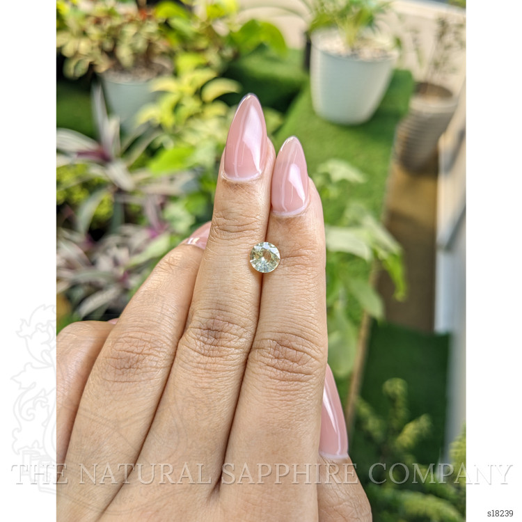 1.14 Ct. Yellow Sapphire from Ceylon (Sri Lanka)