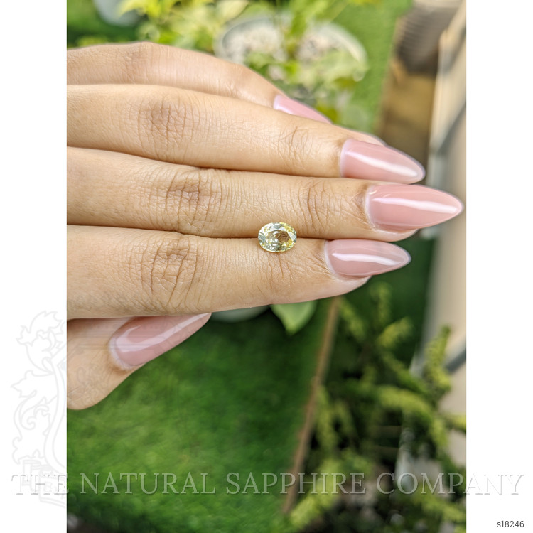 1.38 Ct. Yellow Sapphire from Ceylon (Sri Lanka)