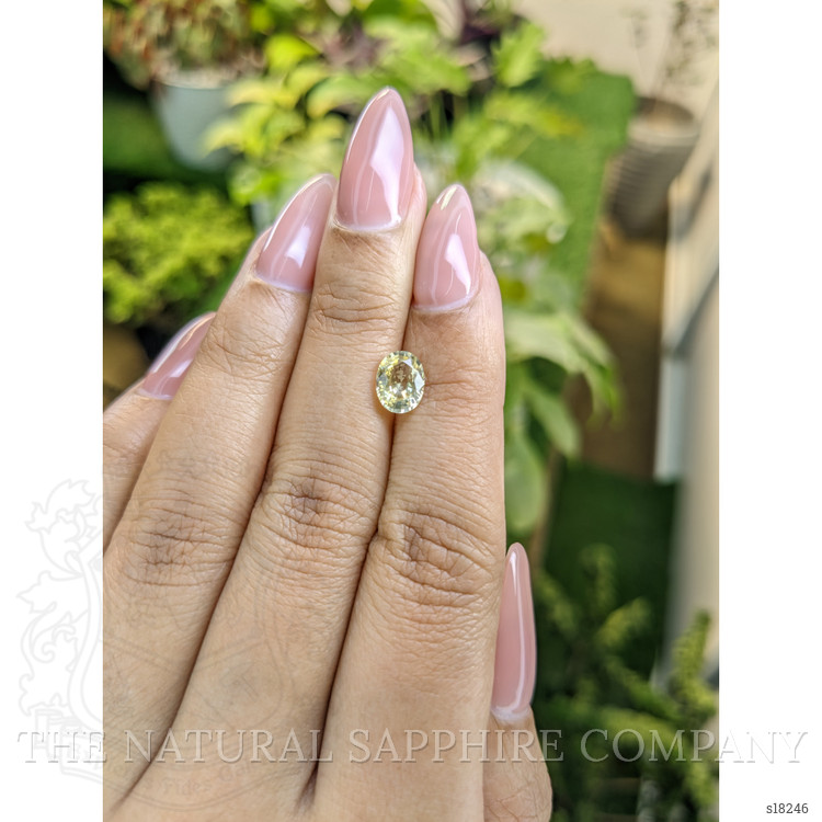 1.38 Ct. Yellow Sapphire from Ceylon (Sri Lanka)