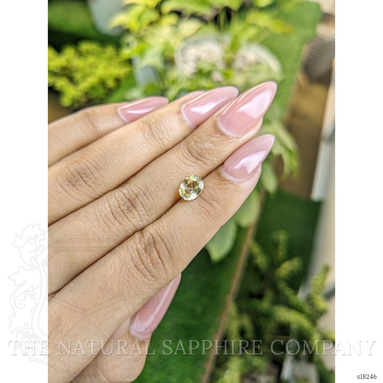 1.38 Ct. Yellow Sapphire from Ceylon (Sri Lanka)