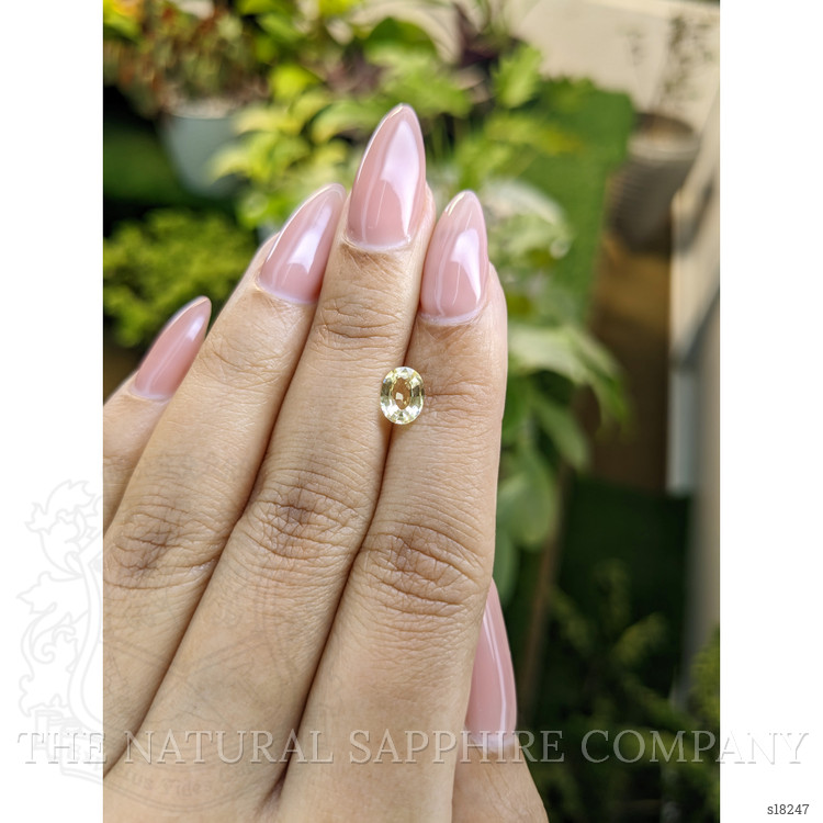 0.88 Ct. Yellow Sapphire from Ceylon (Sri Lanka)