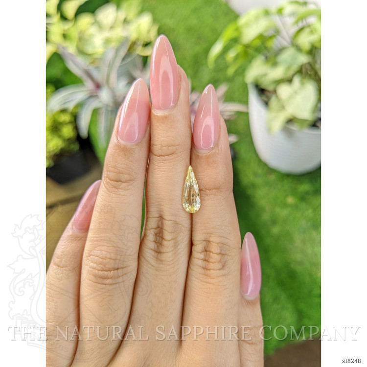 2.20 Ct. Yellow Sapphire from Ceylon (Sri Lanka)