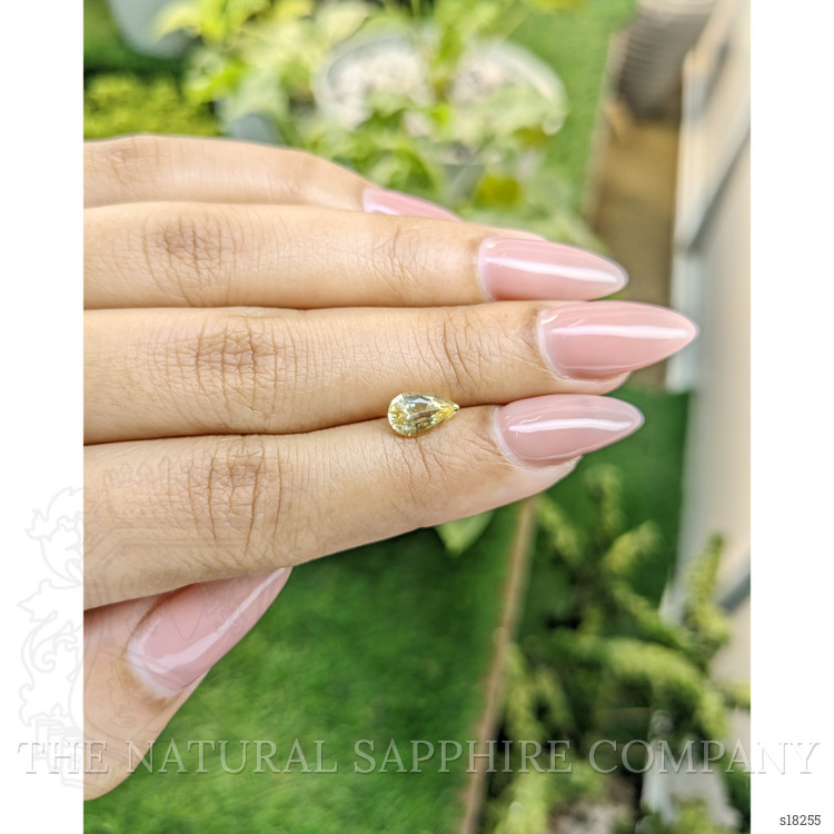 1.11 Ct. Yellow Sapphire from Ceylon (Sri Lanka)
