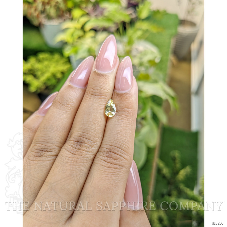 1.11 Ct. Yellow Sapphire from Ceylon (Sri Lanka)