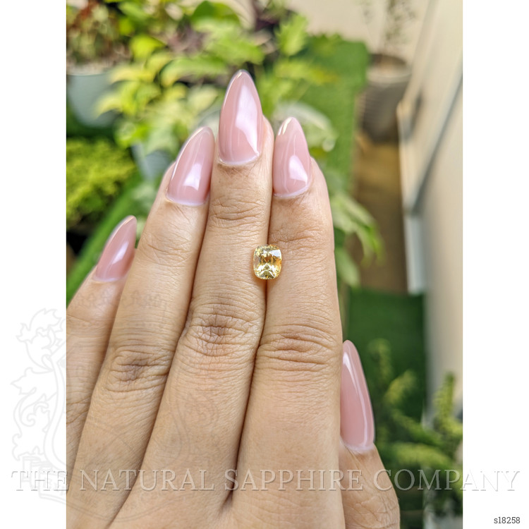 1.57 Ct. Yellow Sapphire from Ceylon (Sri Lanka)