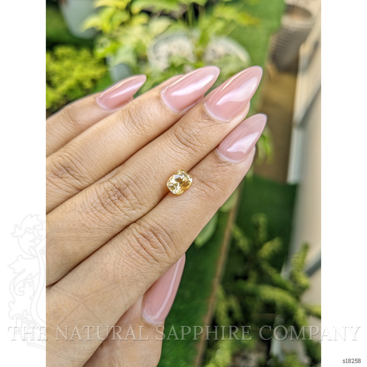 1.57 Ct. Yellow Sapphire from Ceylon (Sri Lanka)