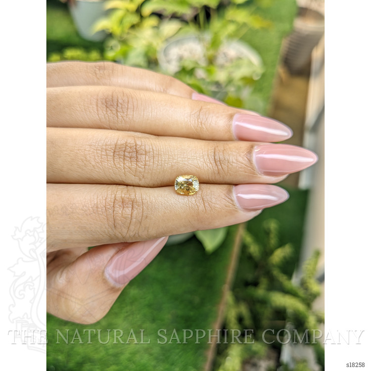 1.57 Ct. Yellow Sapphire from Ceylon (Sri Lanka)