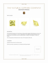 0.93 Ct. Yellow Sapphire from Ceylon (Sri Lanka) Appraisal