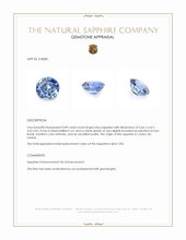 0.89 Ct. Blue Sapphire from Ceylon (Sri Lanka) Appraisal