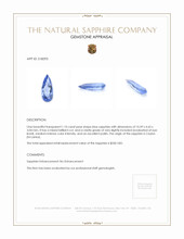 1.10 Ct. Blue Sapphire from Ceylon (Sri Lanka) Appraisal