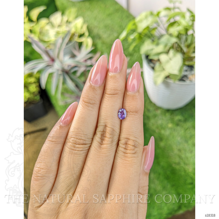 0.80 Ct. Purple Sapphire from Ceylon (Sri Lanka)