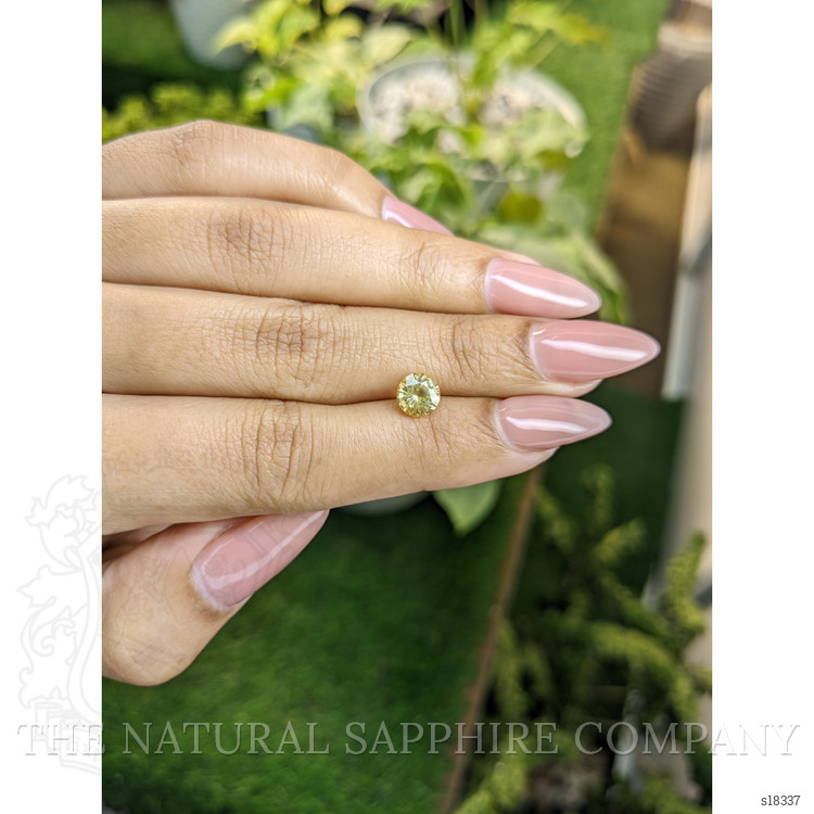 1.30 Ct. Yellow Sapphire from Ceylon (Sri Lanka)