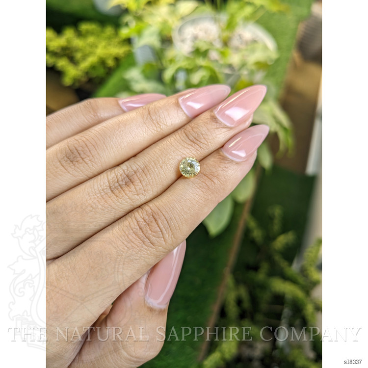 1.30 Ct. Yellow Sapphire from Ceylon (Sri Lanka)