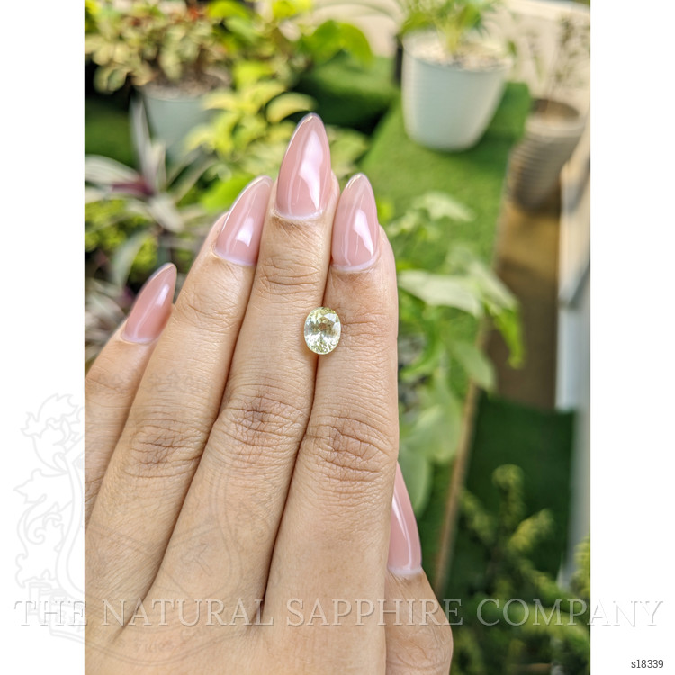 2.01 Ct. Yellow Sapphire from Ceylon (Sri Lanka)