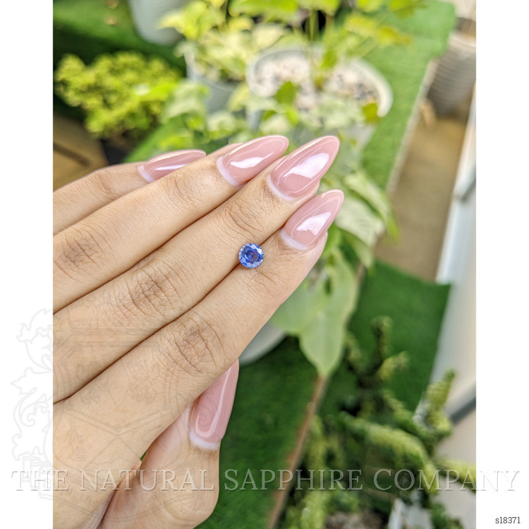 0.71 Ct. Blue Sapphire from Ceylon (Sri Lanka)