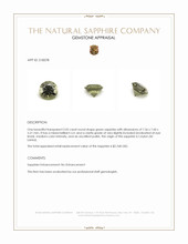 Jewelry Appraisal