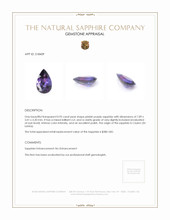 0.95 Ct. Sapphire from Ceylon (Sri Lanka) Appraisal