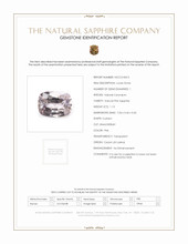 Jewelry Scan Report