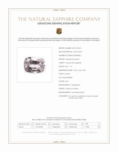 Jewelry Scan Report