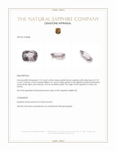 Jewelry Appraisal