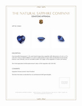 1.20 Ct. Blue Sapphire from Ceylon (Sri Lanka) Appraisal