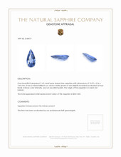 1.42 Ct. Blue Sapphire from Ceylon (Sri Lanka) Appraisal